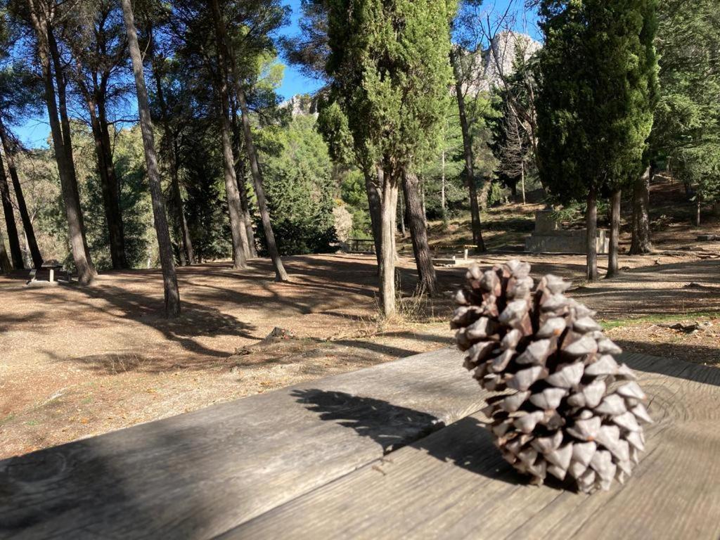 Apartamento La Fuente Alcaucin Luaran gambar