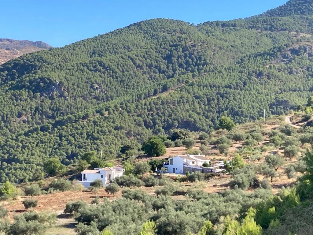 Apartamento La Fuente Alcaucin Luaran gambar